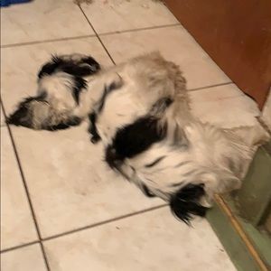 Meet your Posher, Tom